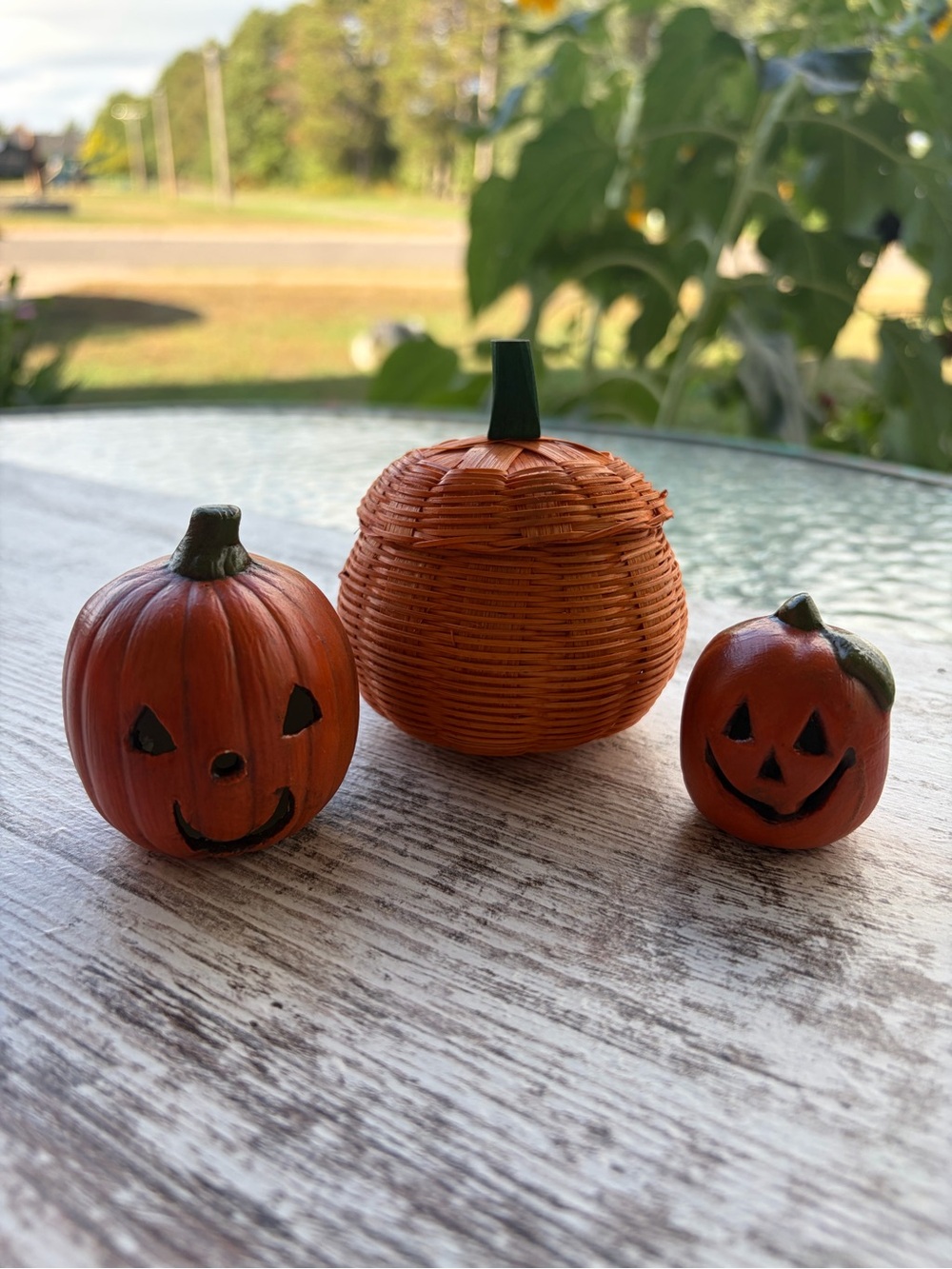 Whimsical Orange Pumpkin Trio Decor Wicker/Ceramic